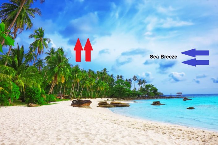 نسیم دریا به خشکی sea breeze